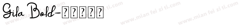 Gila Bold字体转换